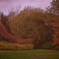 Buy canvas prints of Autumn landscape  by Rachael Smith