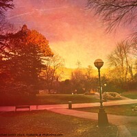 Buy canvas prints of Sunset park  by Rachael Smith