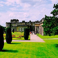 Buy canvas prints of Lyme park  by Rachael Smith