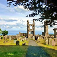 Buy canvas prints of St Andrews, Scotland by Rachael Smith