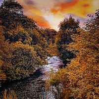 Buy canvas prints of Walks in Derbyshire  by Rachael Smith