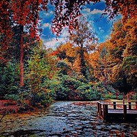 Buy canvas prints of Etherow Pond  by Rachael Smith