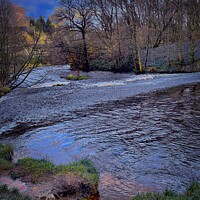 Buy canvas prints of Path to the river  by Rachael Smith