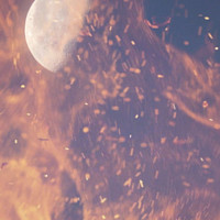 Buy canvas prints of Macro half moon in flames by Cherise Man