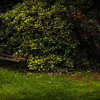 Buy canvas prints of Vintage Garden Bench by Cassi Moghan