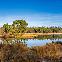 Buy canvas prints of View over the Zevenboomsven lake in the Afferdense Duinen by John Stuij