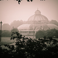 Buy canvas prints of At the Victorian-Era Palm House, in Sefton Park by Simon Martinez