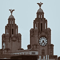 Buy canvas prints of The Liver Birds of Liverpool by Simon Martinez