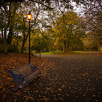 Buy canvas prints of Autumn Path by Lamplight by Simon Martinez