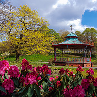 Buy canvas prints of Bandstand Blooms by Simon Martinez