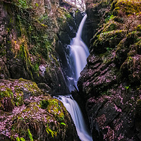 Buy canvas prints of Aira Force Waterfall by Simon Martinez