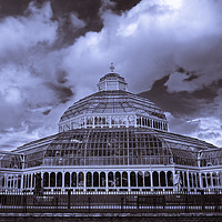 Buy canvas prints of A Palm House Crescendo by Simon Martinez