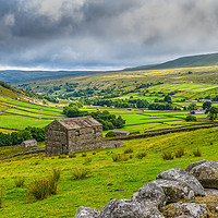 Buy canvas prints of Swaledale Stone Walls and Barns by Alan Deeley