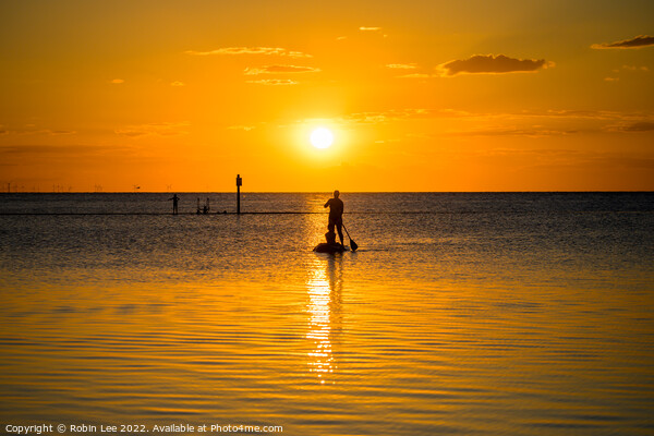 Paddleboarder at sunset Picture Board by Robin Lee