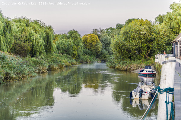 River Stour at Sandwich Picture Board by Robin Lee