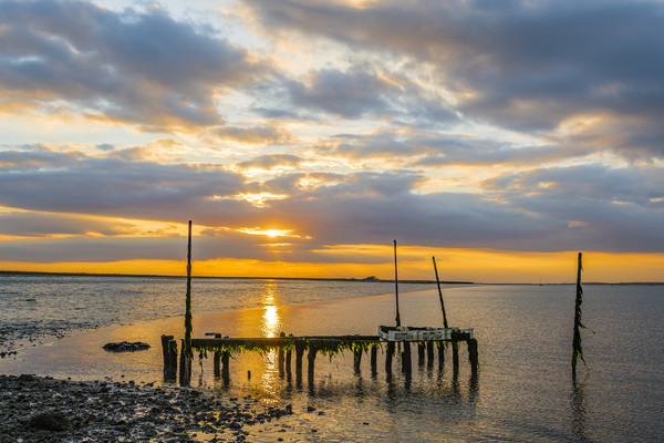 Oyster farm sunset on the Swale Picture Board by Robin Lee