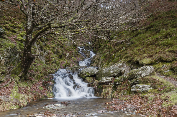 Elan Valley Waterfall   Picture Board by Robin Lee