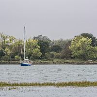 Buy canvas prints of At Anchor on the River Medway by Robin Lee