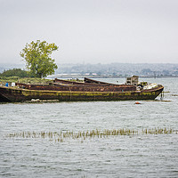 Buy canvas prints of Boat Wrecks on the River Medway by Robin Lee