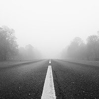Buy canvas prints of Low view down Foggy road  by Chris Rabe