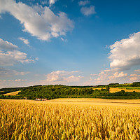 Buy canvas prints of Chiltern Hills countryside  by Chris Rabe