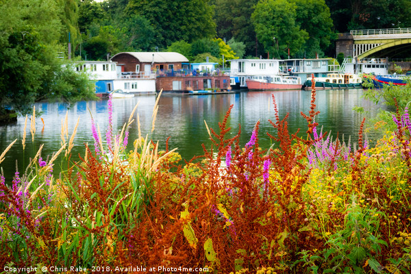 Colourful Richmond riverside along the Thames Picture Board by Chris Rabe