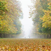 Buy canvas prints of Foggy Park by Chris Rabe