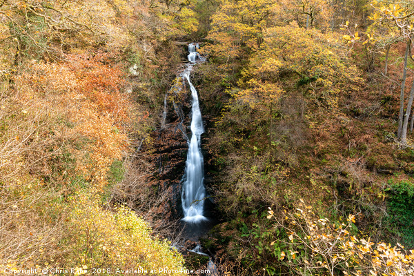 Black spout waterfall outside Pitlochry Picture Board by Chris Rabe