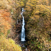 Buy canvas prints of Black spout waterfall outside Pitlochry by Chris Rabe