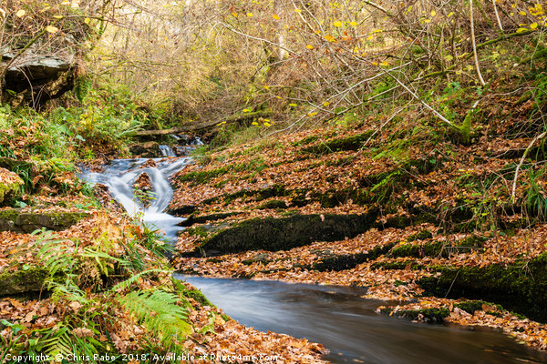 Edradour Burn flowing into Black Spout in autumn Picture Board by Chris Rabe