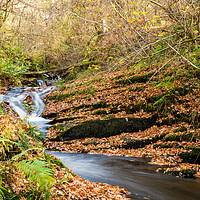 Buy canvas prints of Edradour Burn flowing into Black Spout in autumn by Chris Rabe