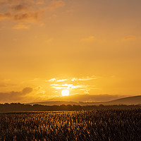 Buy canvas prints of Sunrise over reedbeds from swineham point by Chris Rabe