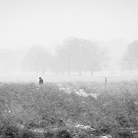 Buy canvas prints of Solitary figure wanders through snow storm by Chris Rabe