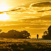 Buy canvas prints of cyclists in richmond park by Chris Rabe