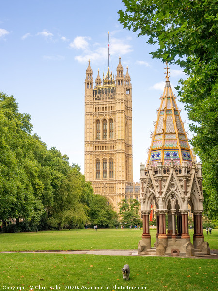 Houses of Parliament and Buxton memorial fountain Picture Board by Chris Rabe