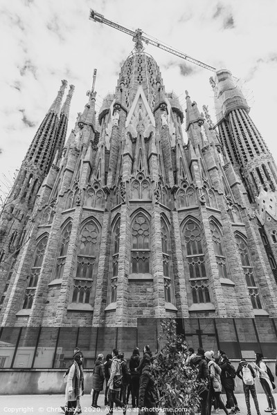 Sagrada familia, Barcelona Picture Board by Chris Rabe