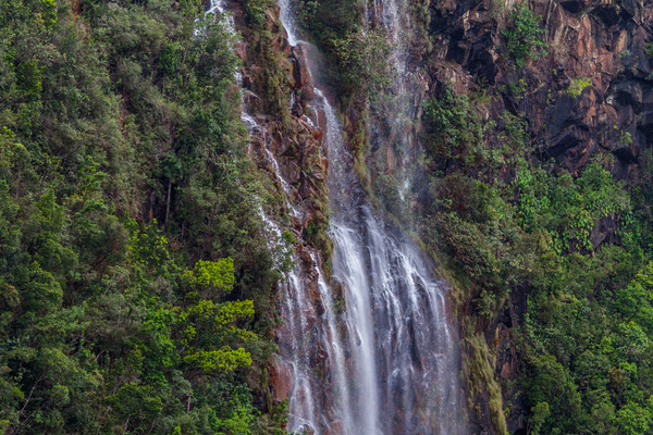 Gauyabo Falls in the Cuban Mountains Picture Board by Paul Smith