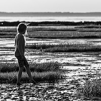 Buy canvas prints of Alone at the marshes by Martin Bowra