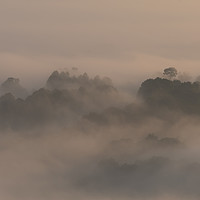 Buy canvas prints of Abstract of early morning mist. by Martin Bowra
