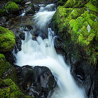 Buy canvas prints of Aira Force Flow by Paul Sutton