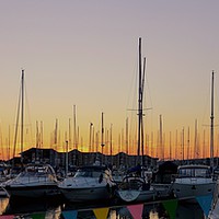 Buy canvas prints of Marina Sunset by Steve WP