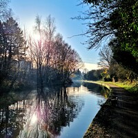 Buy canvas prints of Stourbridge Canal in Winter by Steve WP