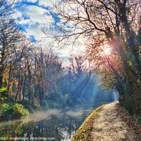 Buy canvas prints of Stourbridge Canal in full bloom by Steve WP