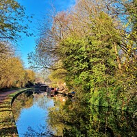 Buy canvas prints of Narrow Boat on Stourbridge Canal by Steve WP