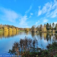 Buy canvas prints of Himley Hall Lake by Steve WP