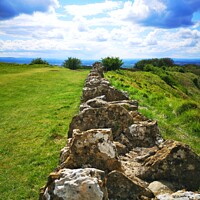 Buy canvas prints of Dry Stone Wall by Steve WP