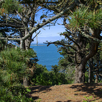Buy canvas prints of The Ocean behind the Pines. by George de Putron