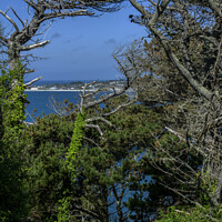 Buy canvas prints of l'Eree Headland behind the Pines. by George de Putron