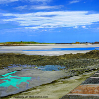 Buy canvas prints of Vazon Beech by George de Putron