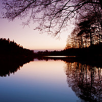 Buy canvas prints of Sweden. Small lake at dusk with trees reflection by Luisa Vallon Fumi